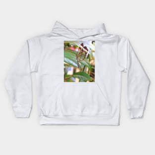 Glass Wings Kids Hoodie